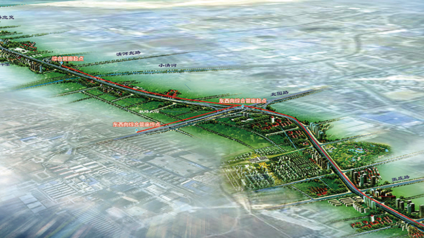 秋霞鲁丝片Av无码少妇