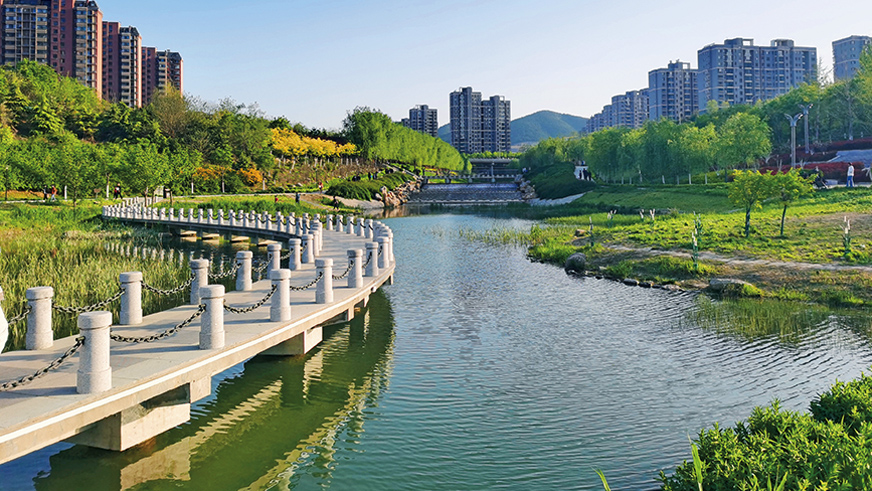 秋霞鲁丝片Av无码少妇