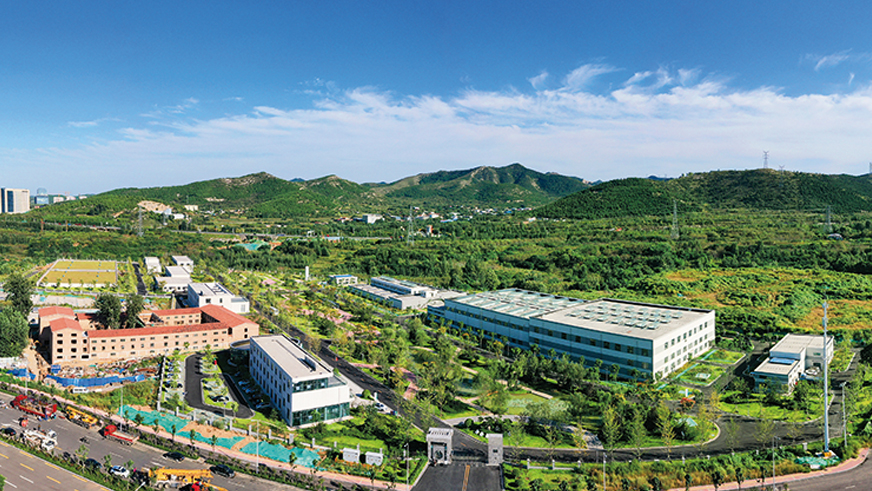 秋霞鲁丝片Av无码少妇