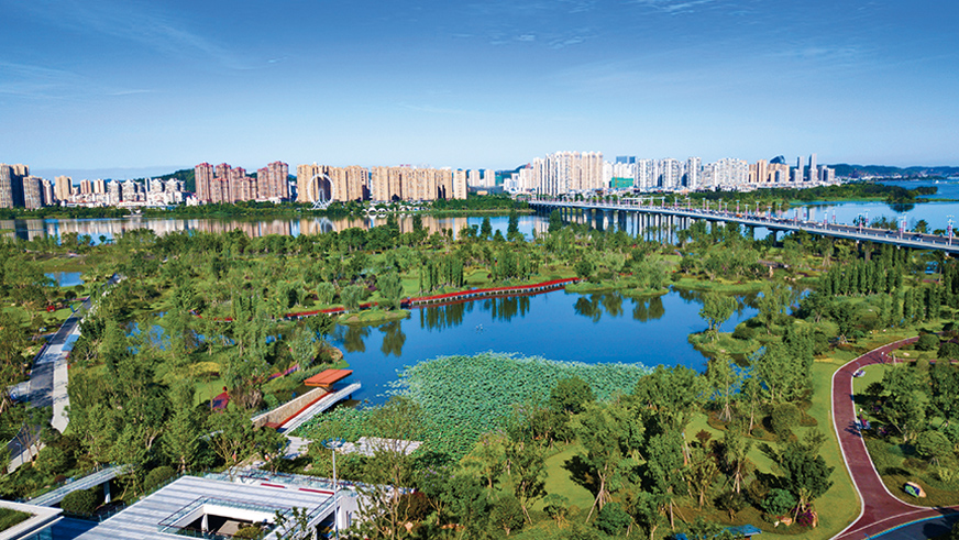 秋霞鲁丝片Av无码少妇