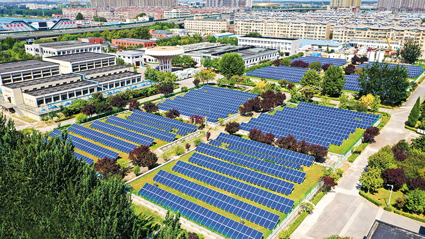 秋霞鲁丝片Av无码少妇