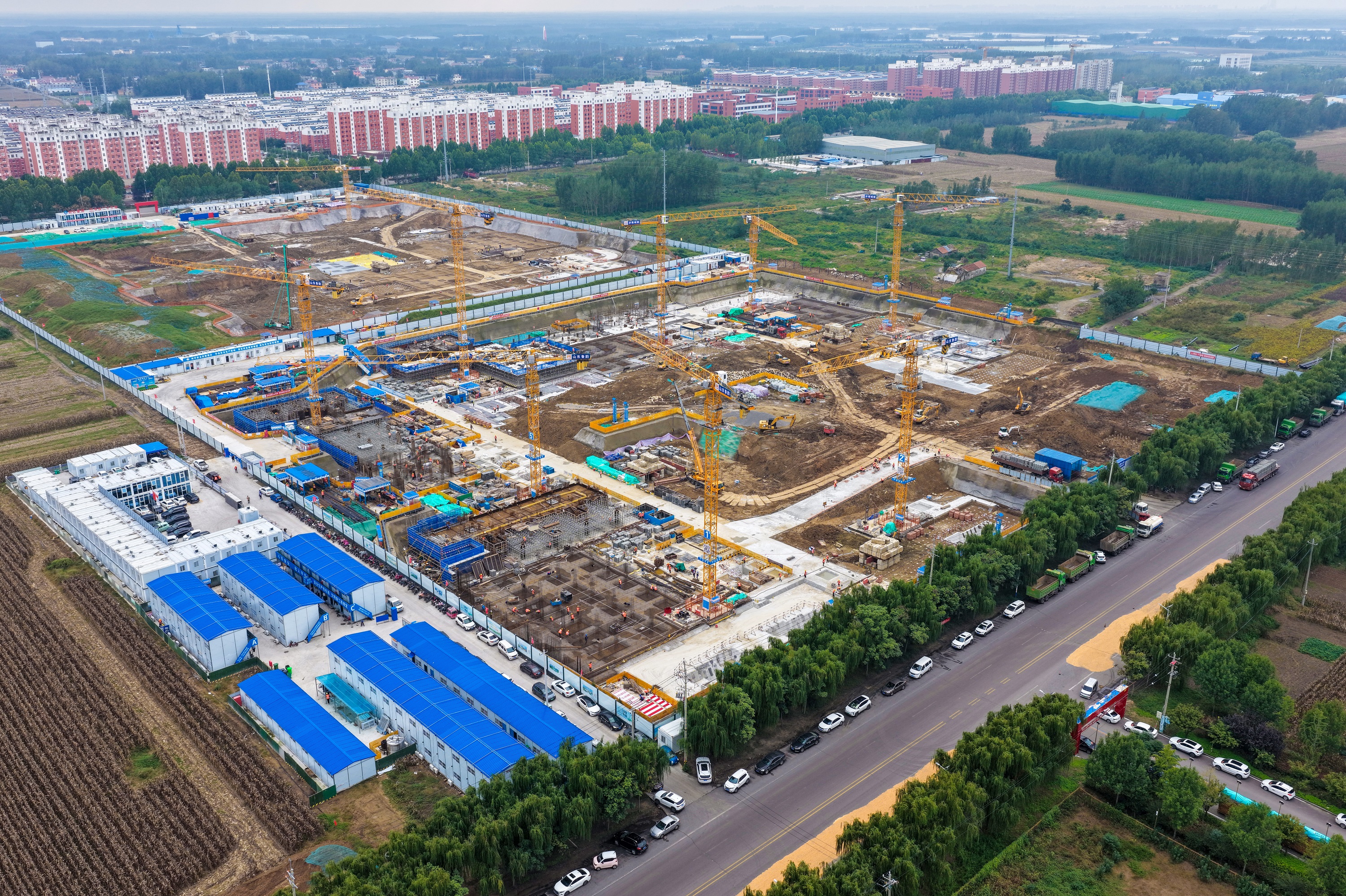 秋霞鲁丝片Av无码少妇